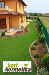 Örökzöld kert 3 m magasból (52)